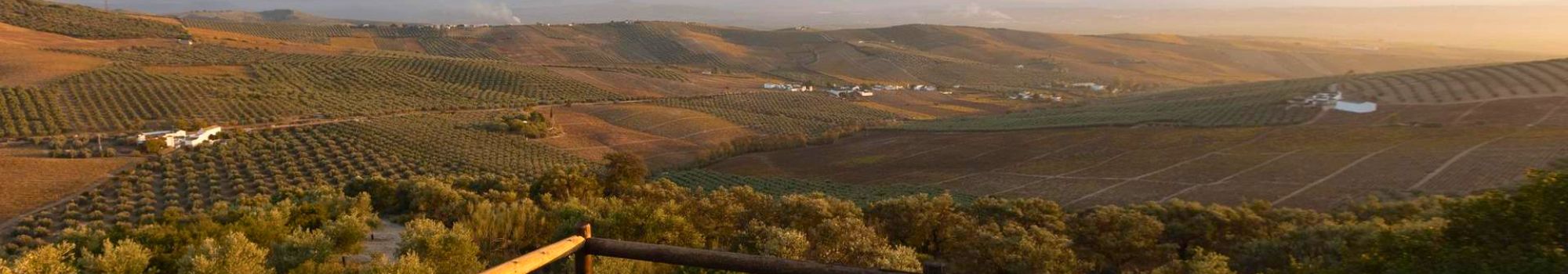 Nuevas líneas de Ayudas EDLL 23-27