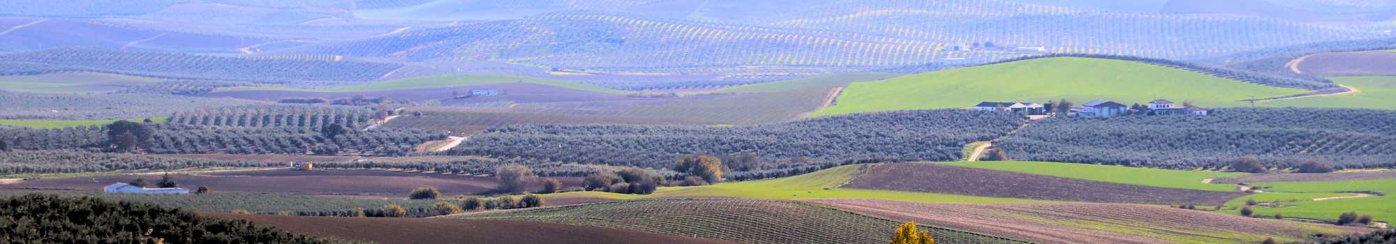 Líneas de Ayudas EDLL 23-27 y operaciones subvencionables