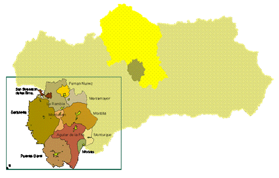 mapa.png