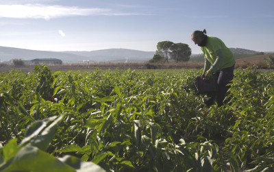 mujeres agricolas